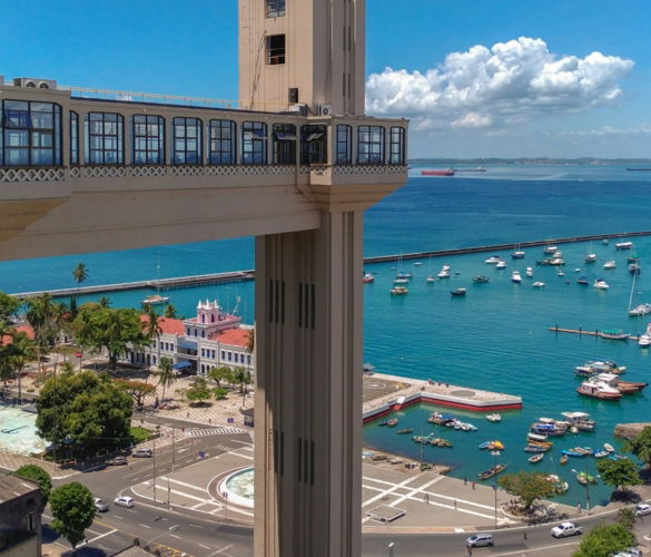 people on beach during daytime